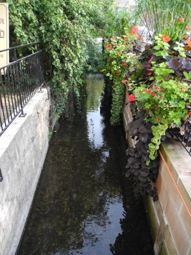 DSCN6827.JPG