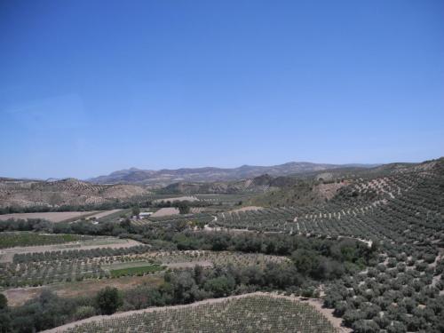 DSCN8437.JPG