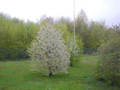 DSCN7333.JPG