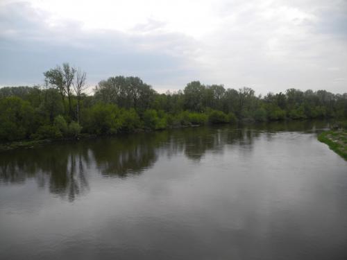 DSCN9821.JPG