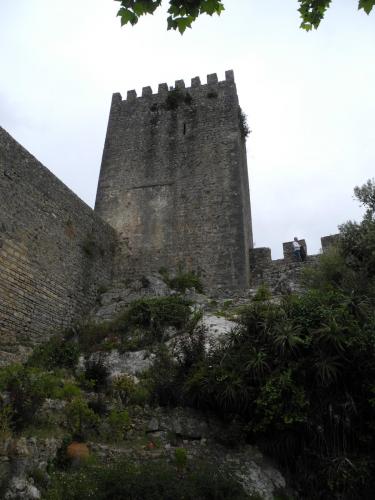 DSCN9061.JPG