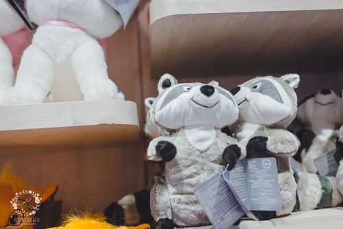 IMG_0001-1 (813).JPG