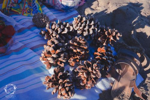 IMG_0001-1 (1306).JPG