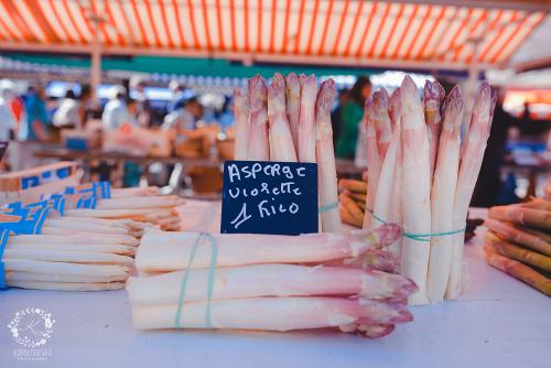 IMG_0001-1 (1011).JPG