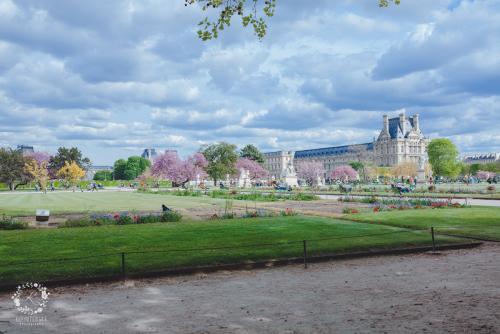 IMG_0001-1 (612).JPG