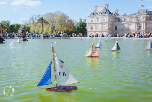 IMG_0001-1 (250).JPG