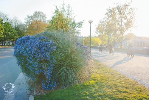 IMG_0001-1 (318).JPG