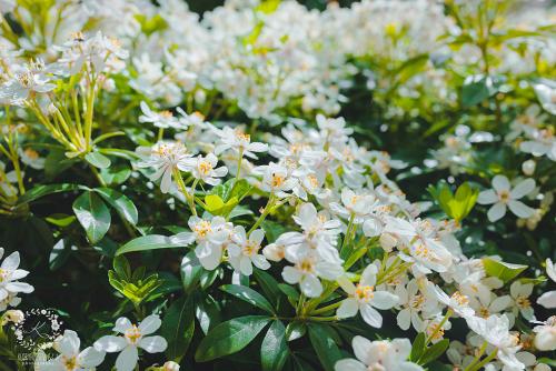 IMG_0001-1 (833).JPG