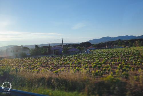 IMG_0001-1 (919).JPG