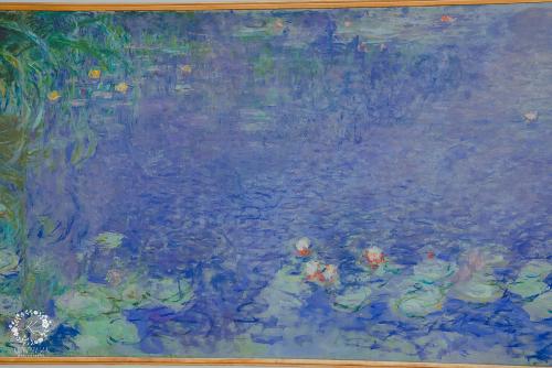 IMG_0001-1 (534).JPG