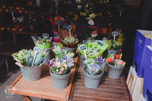 IMG_0001-1 (780).JPG