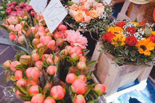 IMG_0001-1 (1018).JPG