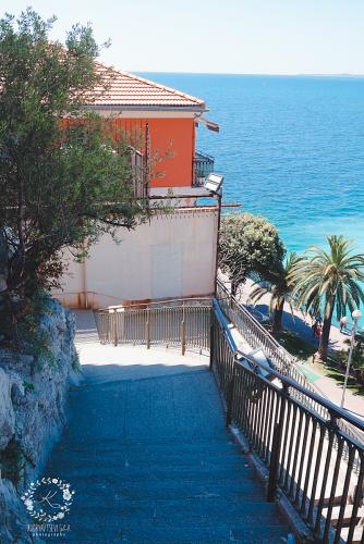 IMG_0001-1 (1073).JPG