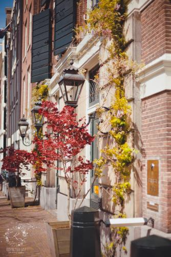 IMG_0018 - копия.JPG