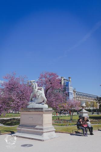 IMG_0001-1 (201).JPG