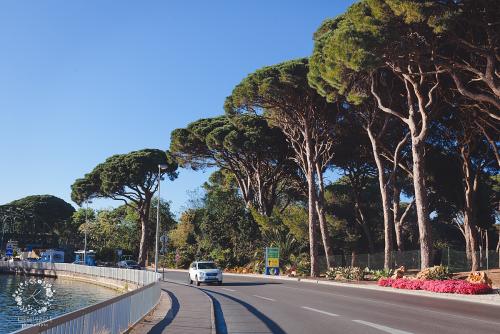 IMG_0001-1 (1364).JPG