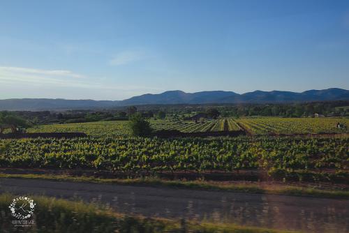 IMG_0001-1 (918).JPG