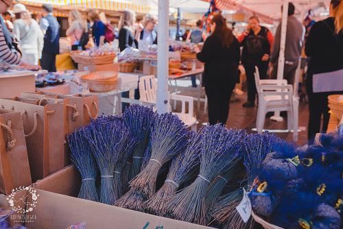 IMG_0001-1 (976).JPG