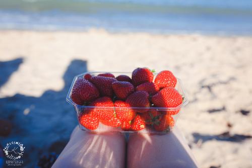 IMG_0001-1 (1301).JPG