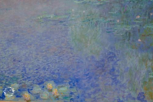 IMG_0001-1 (543).JPG