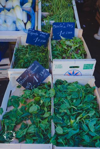 IMG_0001-1 (1005).JPG