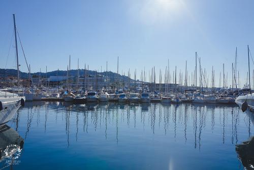 IMG_0001-1 (1390).JPG