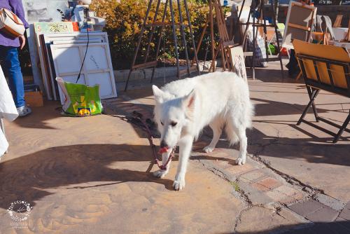 IMG_0001-1 (1402).JPG