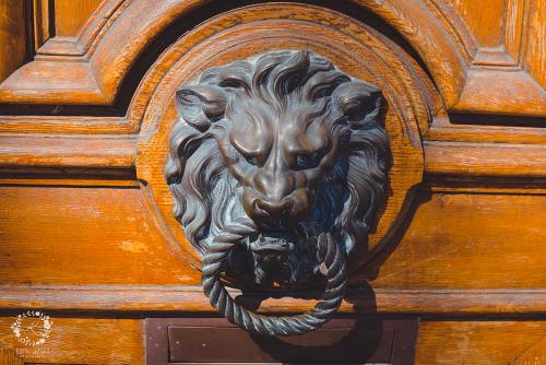 IMG_0001-1 (523).JPG