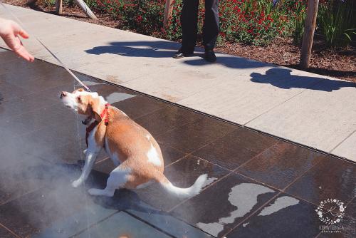 IMG_0001-1 (1262).JPG