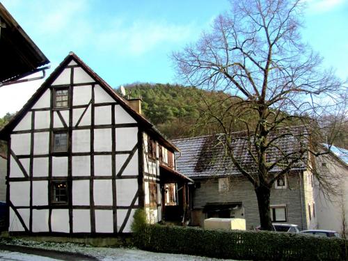 родина белоснежкиIMG_2226.JPG