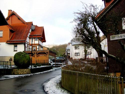 родина белоснежкиIMG_2224.JPG