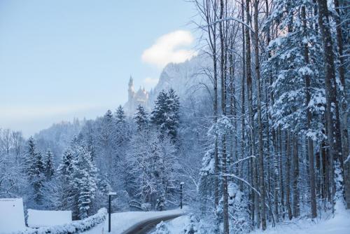 13.01-71 - копия.jpg