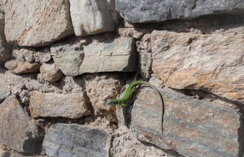 Австрия05 (2).jpg