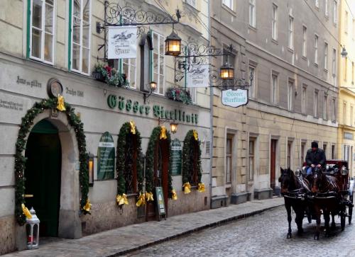 DSC09790улица Steindlgasse.JPG