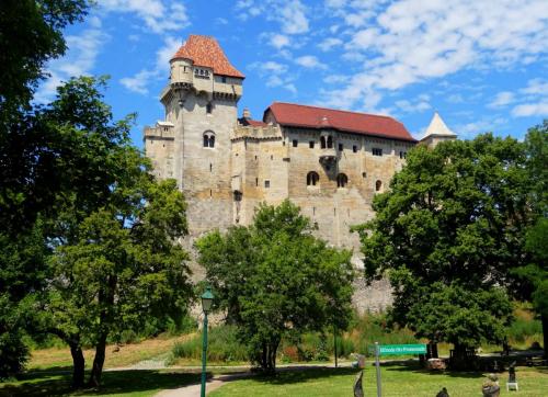 DSC07345замок Лихтенштейн под Веной.JPG