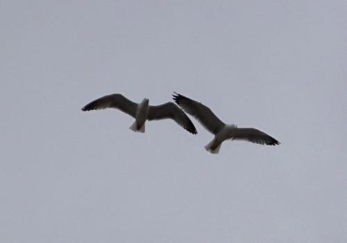 DSC03760.JPG