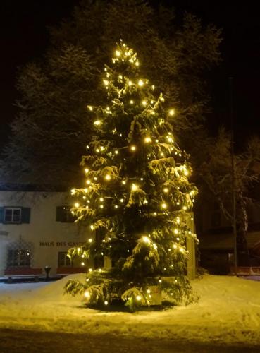 DSC02270Иглс, Австрия.JPG