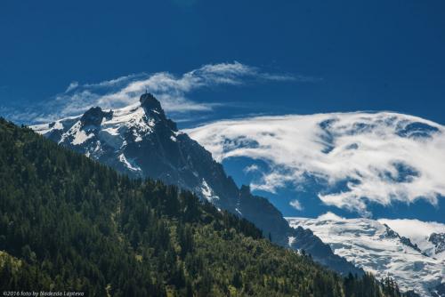 DSC_0331_11.jpg
