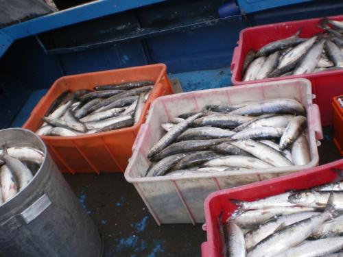 рыбалка 16.JPG