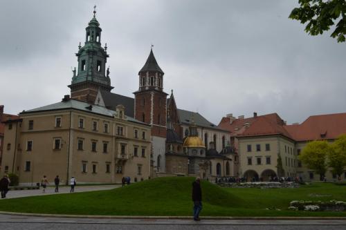 DSC_0774.JPG
