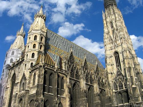 stephansdom-22 (1).jpg