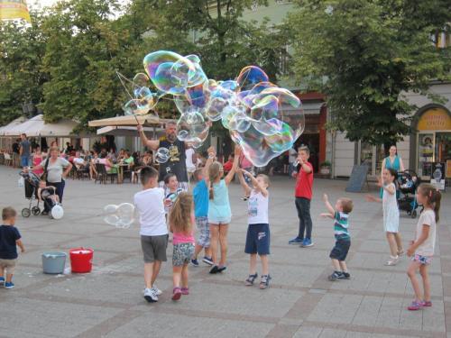 1 Нови Сад.JPG