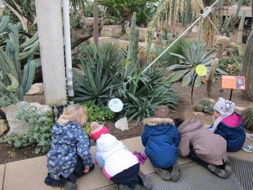 Детишки и кактусы в Кью Гарденс.JPG