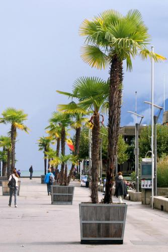 17.09.4962а. Набережная Уши..jpg