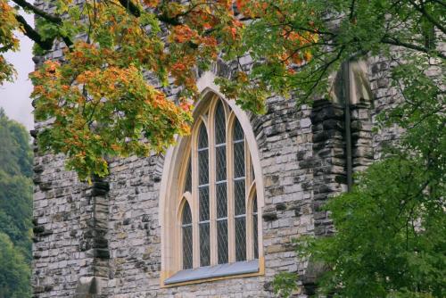 17.09.3507а. Из глубины веков..jpg