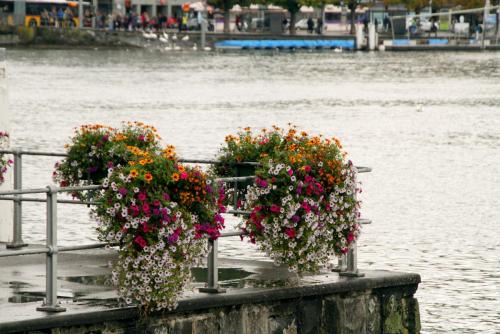 17.09.3156а. Причал на озере Четырех Кантонов..jpg