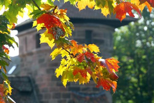 17.09.10425а. Осень в Нюрнберге..jpg