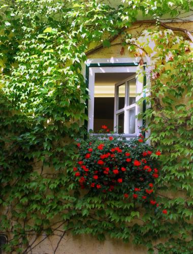 17.09.1181а. Романтический отель..jpg