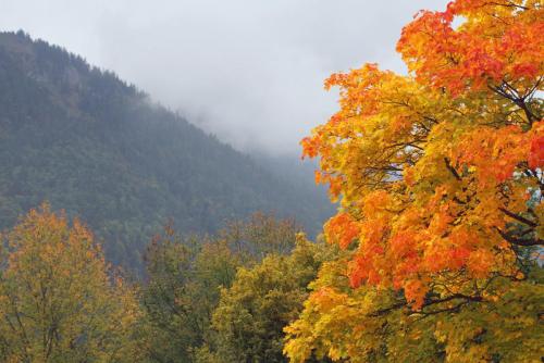 17.09.9543а. Баварские Альпы..jpg