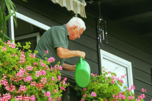 17.09.1532а. Цветовод из Хальштадта..jpg